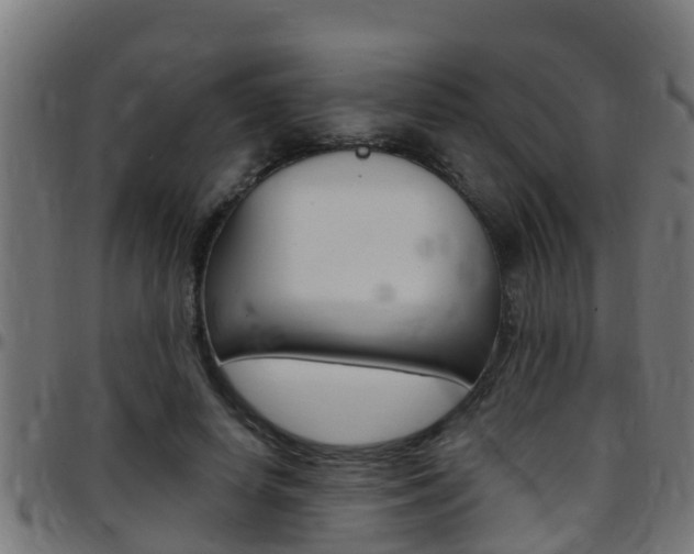 X0000097790642200803070936