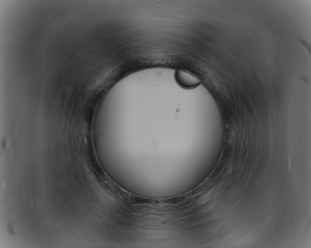 X0000097790643200803070936
