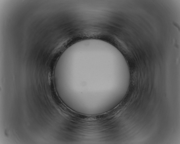X0000097790644200803070936