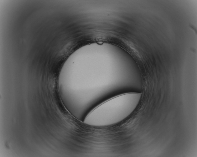 X0000097790645200803070936