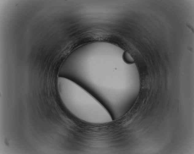 X0000097790646200803070936