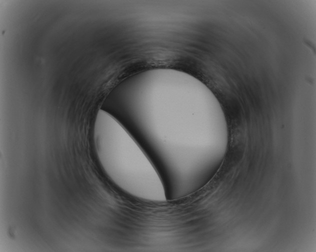 X0000097790647200803070936