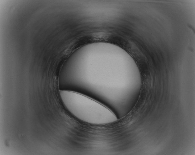 X0000097790649200803070936