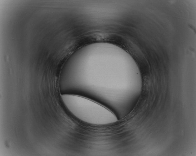 X0000097790650200803070936