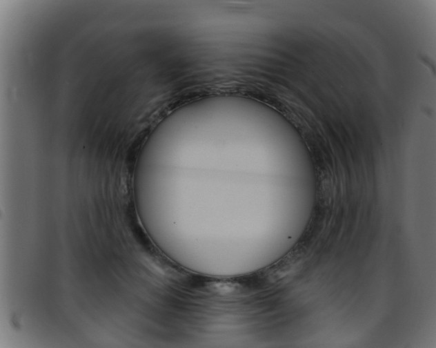 X0000097790654200803070936