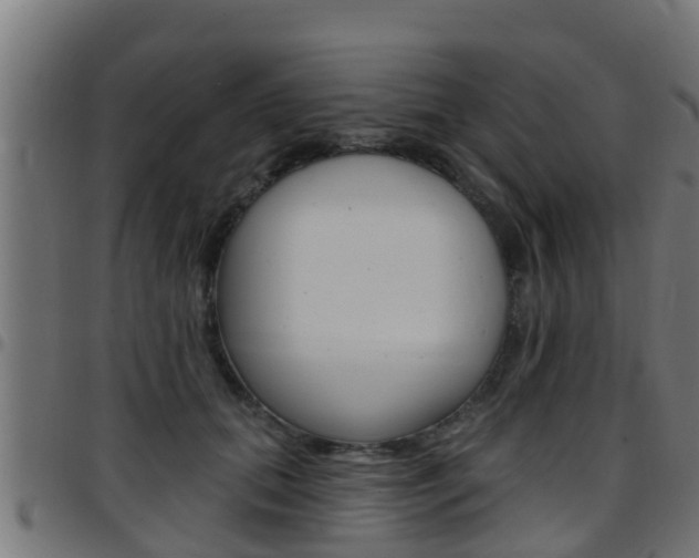 X0000097790655200803070936
