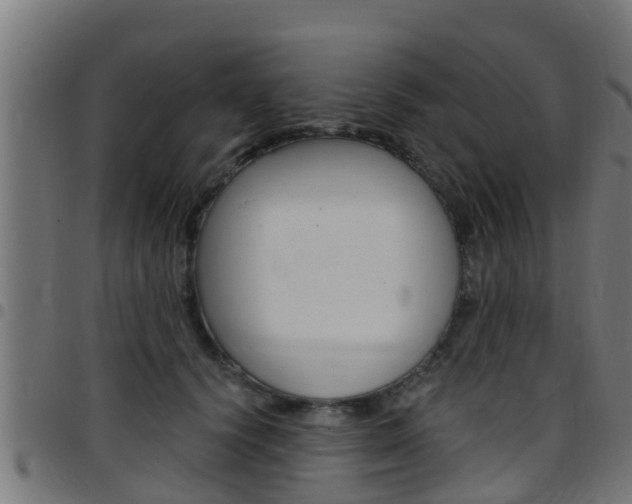 X0000097790656200803070936