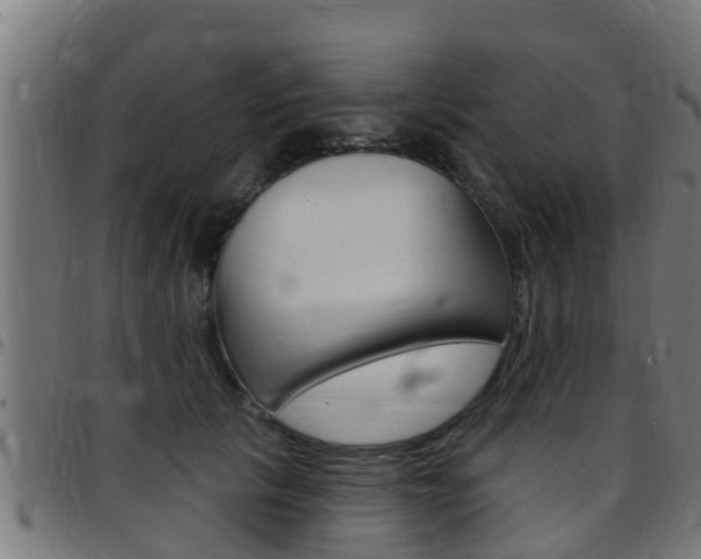 X0000097790657200803070936