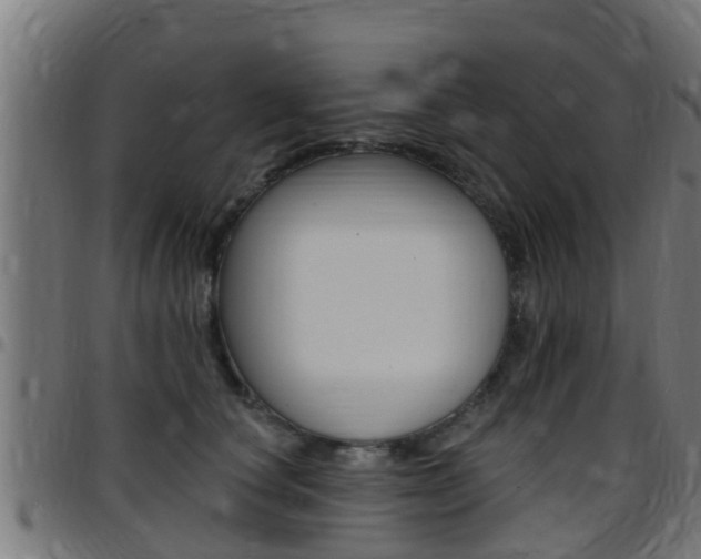 X0000097790660200803070936