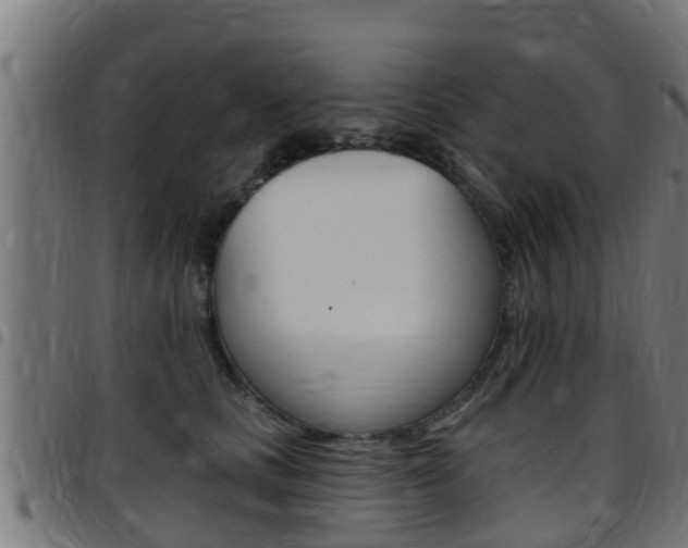 X0000097790661200803070936