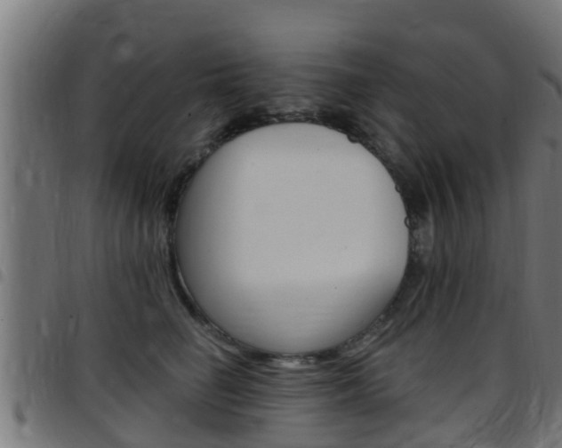 X0000097790662200803070936
