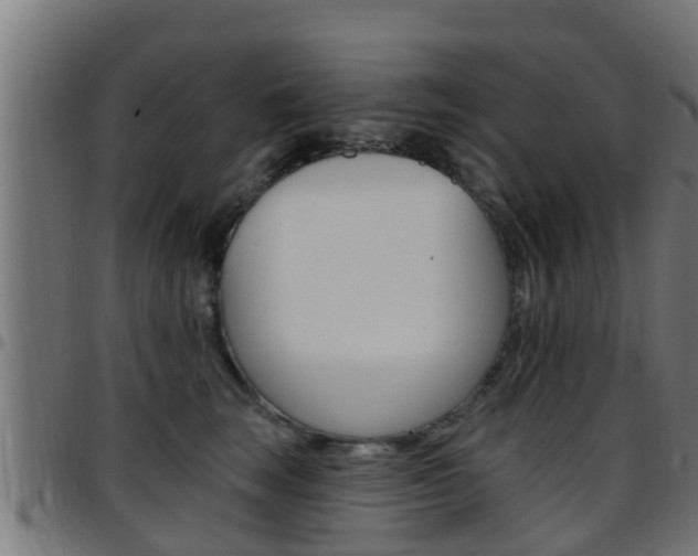 X0000097790663200803070936