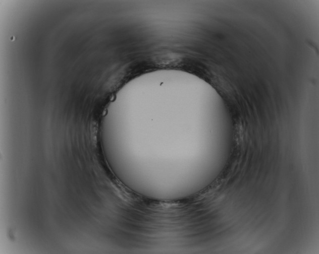 X0000097790664200803070936