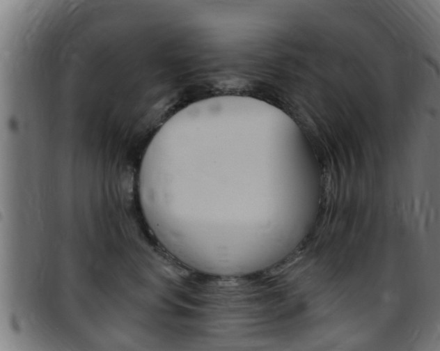X0000097790668200803070936