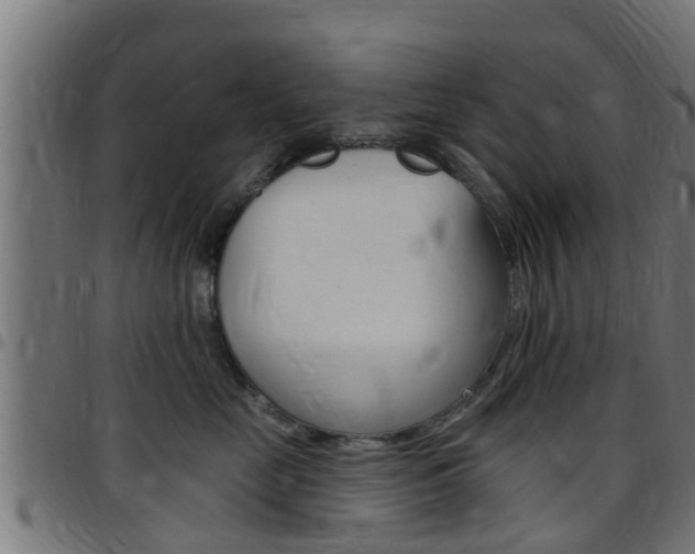 X0000097790669200803070936