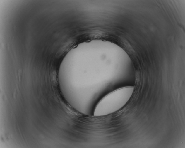X0000097790670200803070936