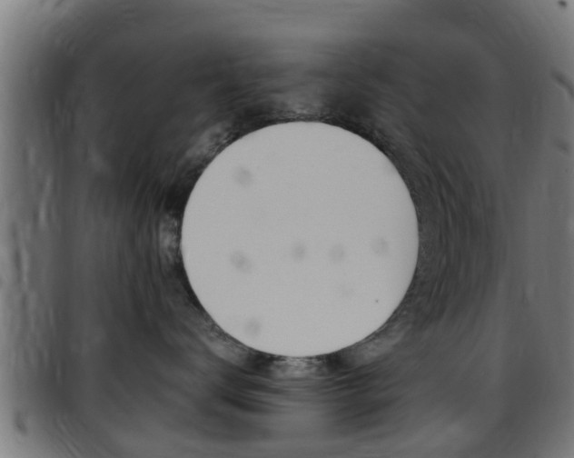 X0000097790672200803070936