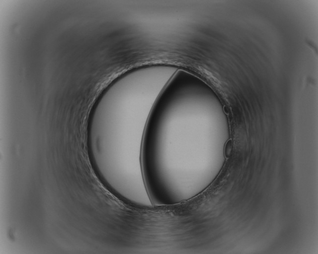 X0000097790673200803070936