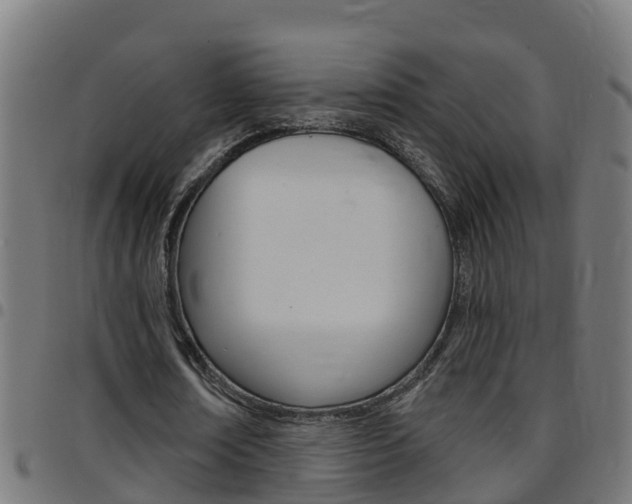 X0000097790674200803070936