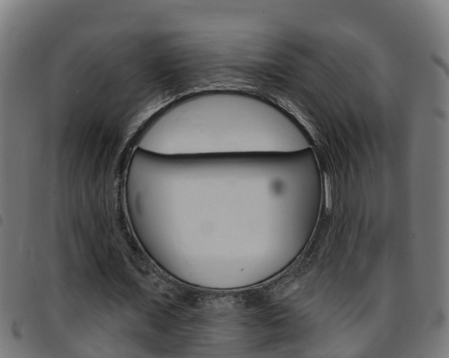 X0000097790675200803070936