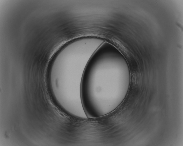 X0000097790676200803070936