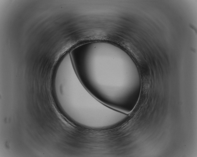 X0000097790677200803070936