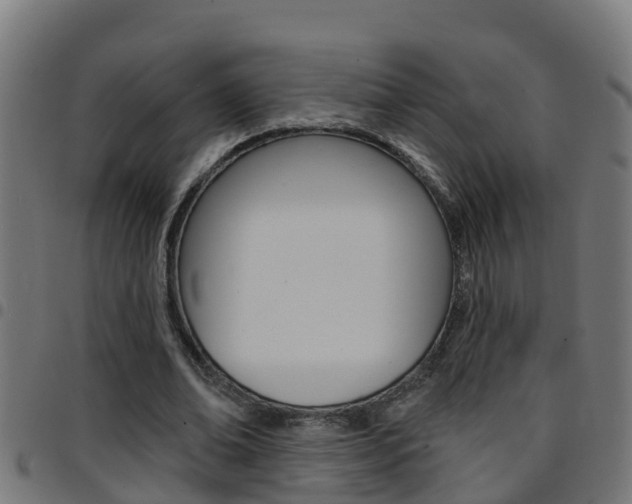 X0000097790678200803070936