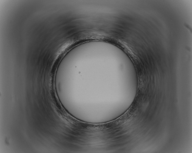 X0000097790679200803070936