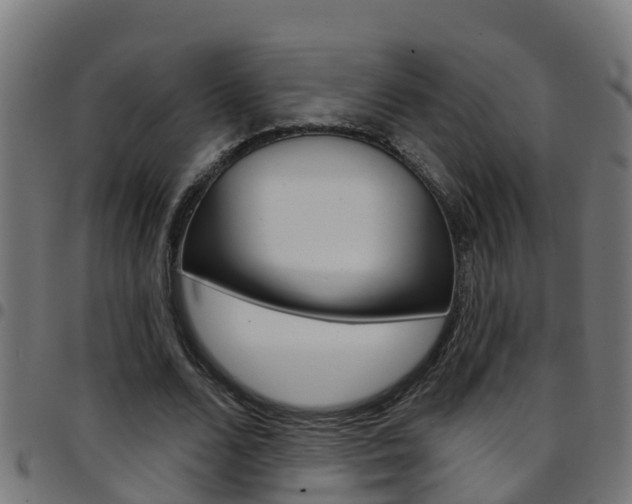 X0000097790680200803070936