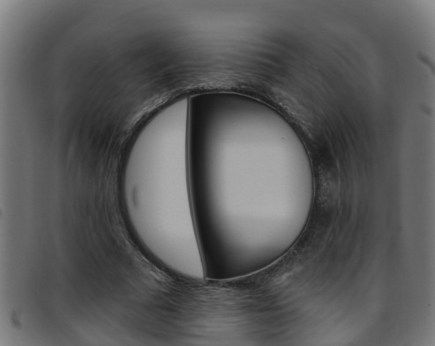 X0000097790681200803070936