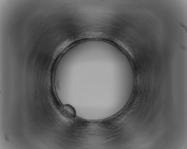 X0000097790682200803070936