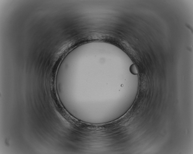 X0000097790683200803070936