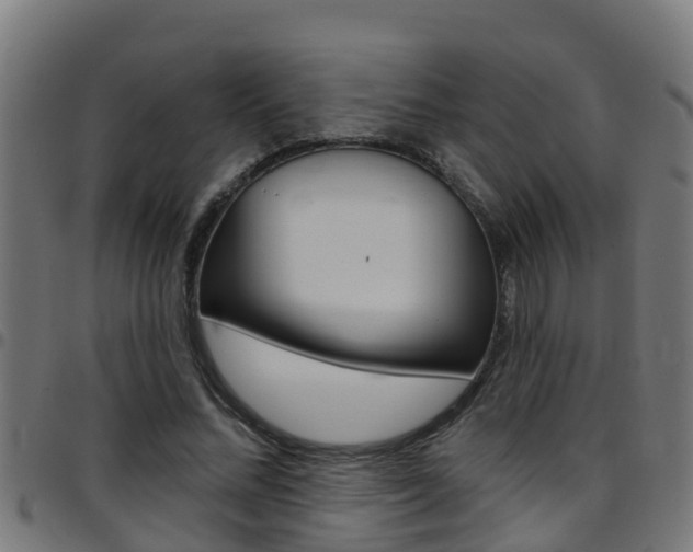X0000097790684200803070936