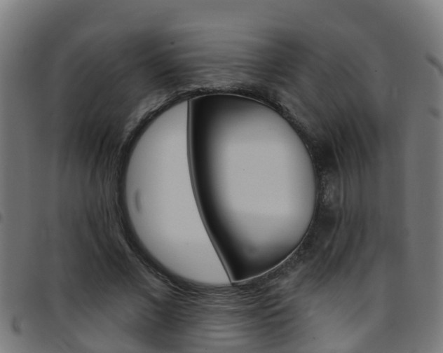 X0000097790685200803070935
