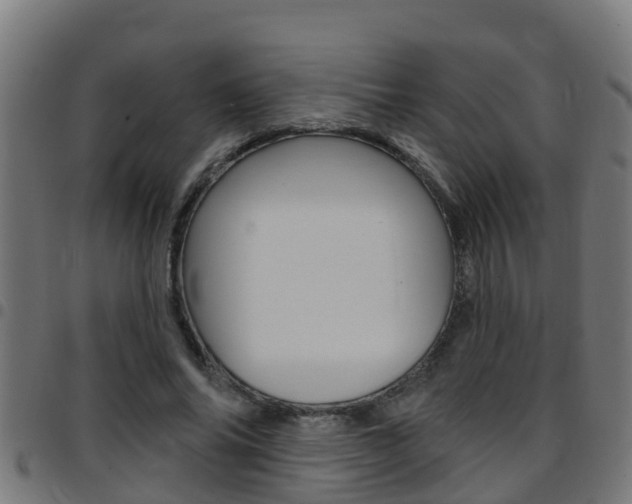 X0000097790686200803070935