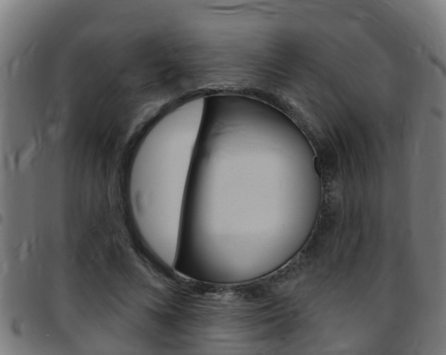 X0000097790688200803070935