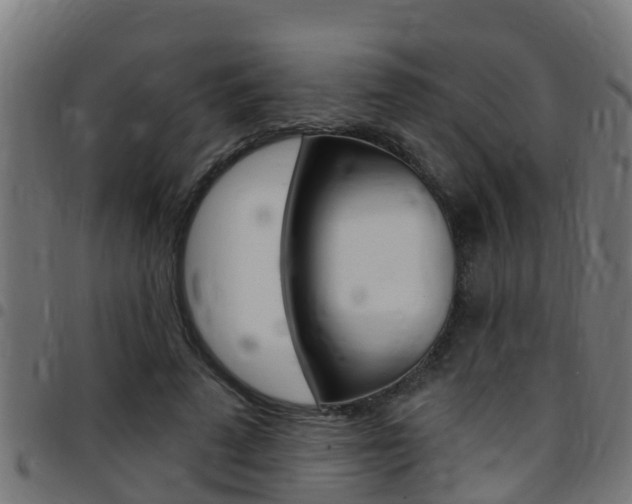 X0000097790689200803070935
