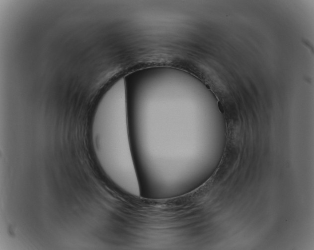 X0000097790692200803070935