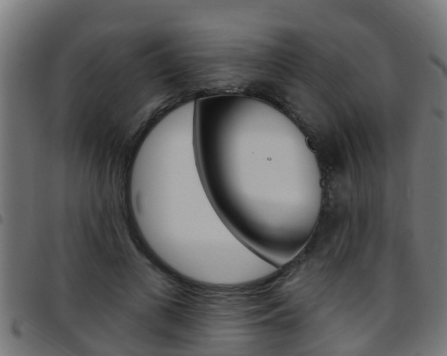 X0000097790693200803070935
