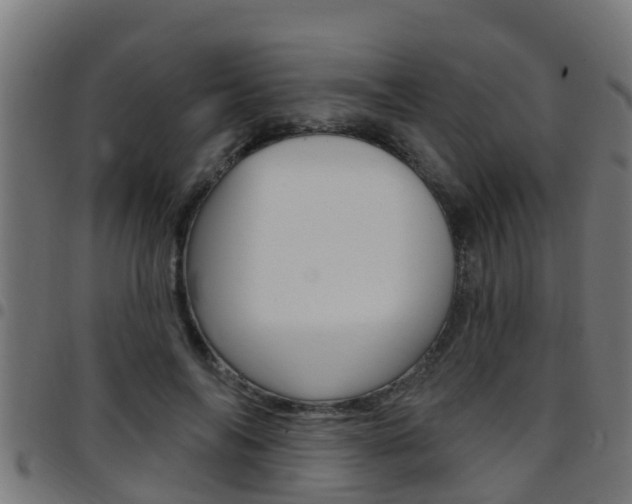 X0000097790694200803070935