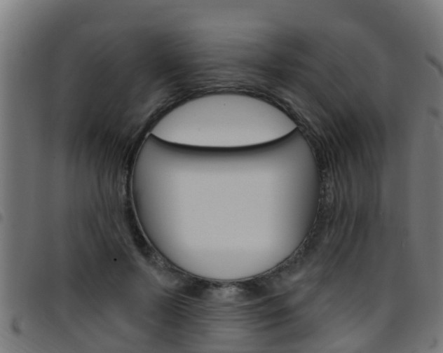 X0000097790695200803070935