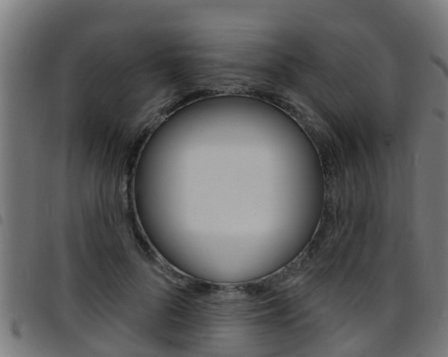 X0000097790696200803070935