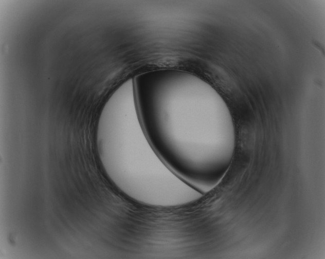 X0000097790697200803070935