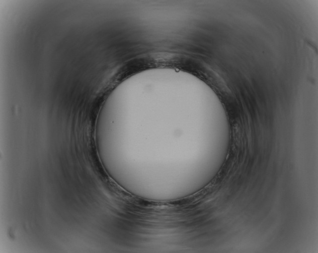 X0000097790698200803070935