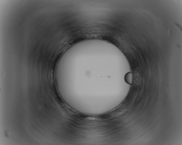 X0000097790699200803070935