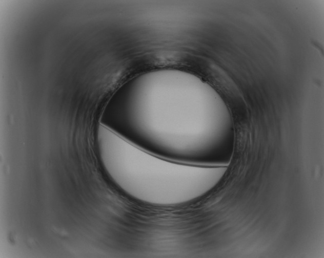 X0000097790700200803070935