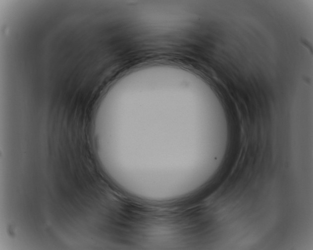 X0000097790701200803070935