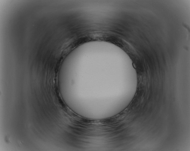 X0000097790702200803070935