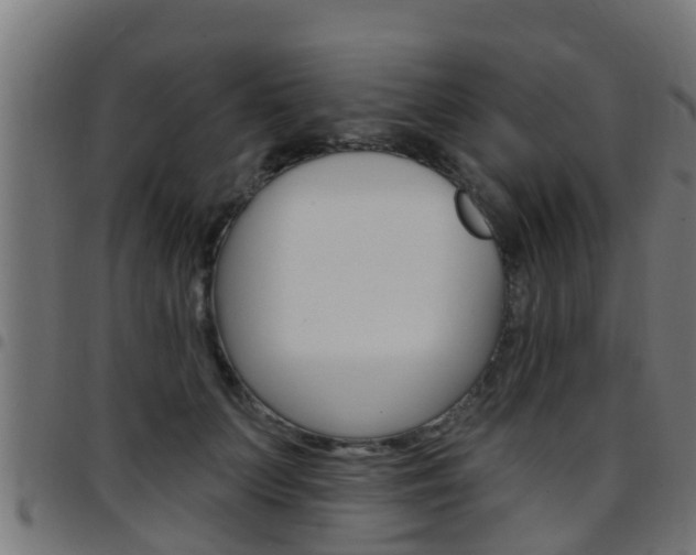 X0000097790703200803070935