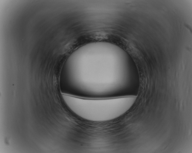X0000097790704200803070935